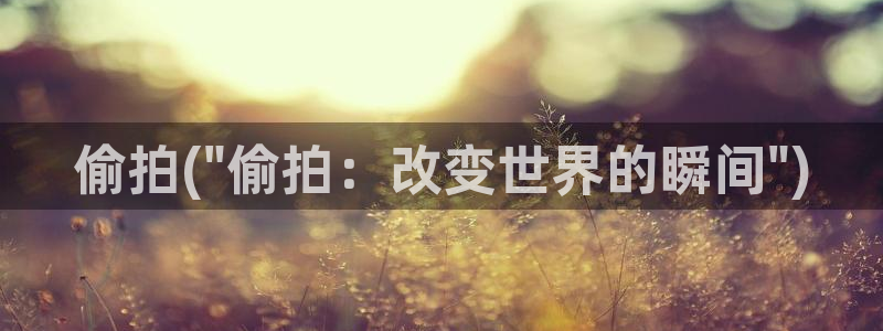 成年偷拍免费视频