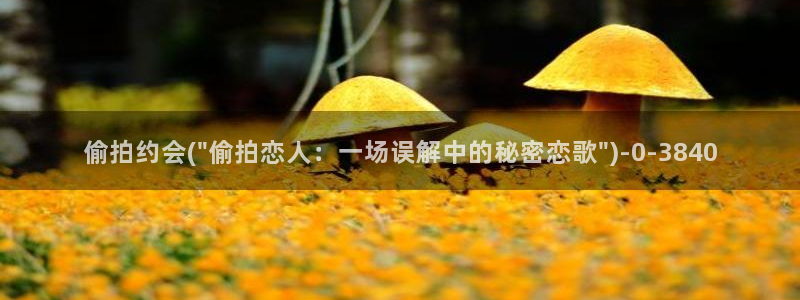 中国自偷拍精品视频